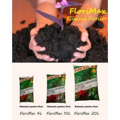Pamant Flori 4/5 L 350 B