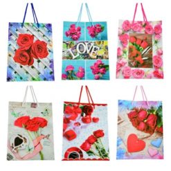 Pungi Cadou Mari 12buc/Set (L) Boom