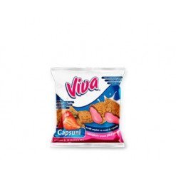 Viva Pernite 100g 24 B/Capsuni Bax