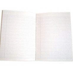 Caiet Tip Ii 24 File Pigna 5/Set (42 Set /Bax)