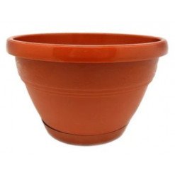 Ghiveci Lalea 20 Cm